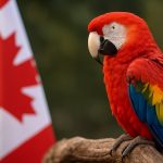 The Best Canadian Parrot Clubs & Online Communities